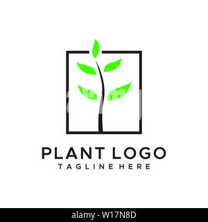 Natur oder Baum-, Pflanzen Logo Design einfach und minimalistischen Stil Stockfoto