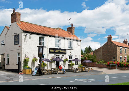 Das graue Pferd Pub im Elvington, North Yorkshire, England, Großbritannien Stockfoto