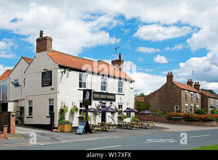 Das graue Pferd Pub im Elvington, North Yorkshire, England, Großbritannien Stockfoto