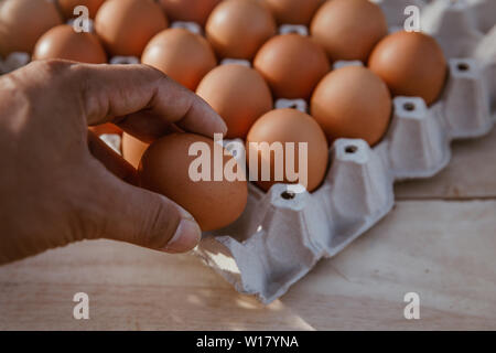 Die Hand hält das Ei in der Hand aus der Farm gesammelt. Stockfoto