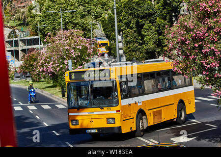 Gelbe Bus in Funchal, Madeira, Portugal, Europäische Stockfoto