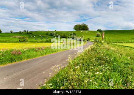 Tradational englische Landschaft mit einer Wicklung Lane bis ein Hügel mit einem whire horse Es am Hackpen Hill in die Landschaft von Wiltshire geschnitzt Stockfoto