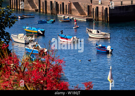 Bunte kleine Boote in Câmara de Lobos, Funchal, Madeira, Portugal, Europäische Union Stockfoto