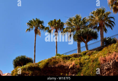 Sehenswürdigkeiten rund um Câmara de Lobos, Madeira, Portugal, Europäische Union siehe Stockfoto