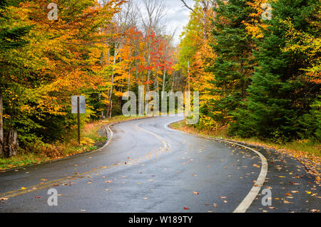 Einsame Wicklung Wald Straße in den Bergen an einem regnerischen Herbsttag Stockfoto
