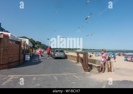 Möwen Kreis Gemeinkosten über eine Frau setzte sich auf eine Wand an einen Eingang zu Avon Strand bei Mudeford, Christchurch, Dorset, Großbritannien auf den Sommer Tag mit blauem Himmel Stockfoto