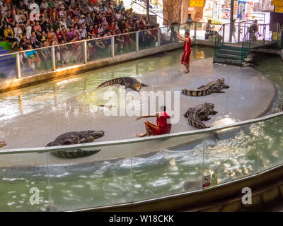 Krokodil Show in Sriracha Tiger Zoo, Pattaya, Thailand Stockfoto