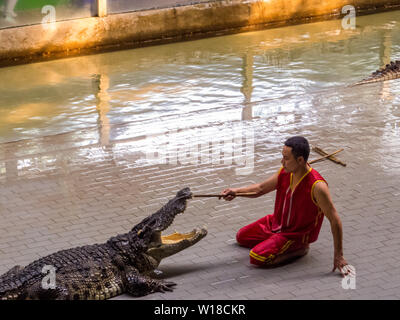 Krokodil Show in Sriracha Tiger Zoo, Pattaya, Thailand Stockfoto