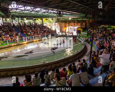 Krokodil Show in Sriracha Tiger Zoo, Pattaya, Thailand Stockfoto