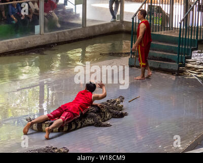 Krokodil Show in Sriracha Tiger Zoo, Pattaya, Thailand Stockfoto