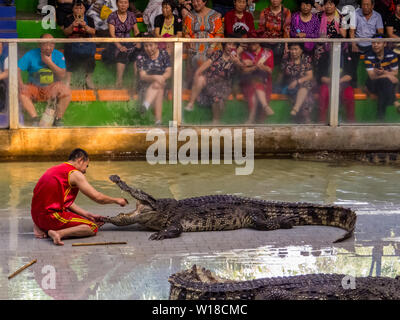 Krokodil Show in Sriracha Tiger Zoo, Pattaya, Thailand Stockfoto