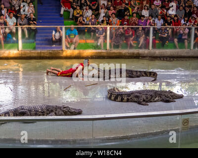 Krokodil Show in Sriracha Tiger Zoo, Pattaya, Thailand Stockfoto