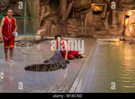 Krokodil Show in Sriracha Tiger Zoo, Pattaya, Thailand Stockfoto