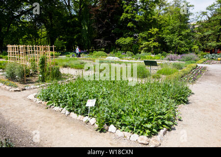 Botanicki vrt, Botanischer Garten, Zagreb, Kroatien. Stockfoto
