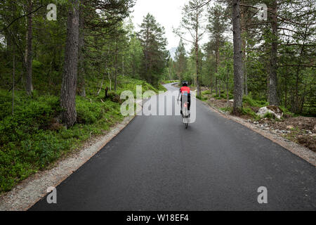 Weibliche Radfahrer auf private Mautstraße durch Vengedalen, in der Nähe von Molde, Norwegen. Stockfoto