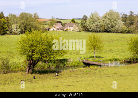 Blick über den Fluss Windrush zu Barrington Mühle aus dem Cotswold Dorf Little Barrington, Gloucestershire, Großbritannien Stockfoto