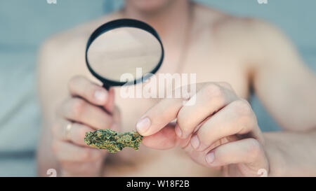 Der junge Mensch schaut auf Cannabis mit Lupe und halten in der Hand medizinisches Marihuana Knospen. Cannabis ist ein Konzept der Kräutermedizin. Legalisierung Stockfoto