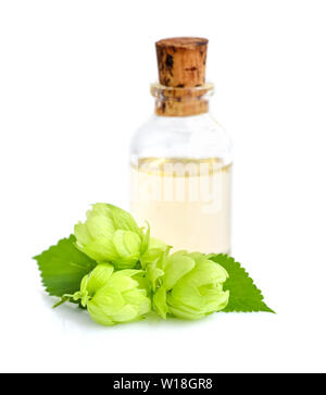 Hopfen (Humulus) mit Heilpflanzen in Glasflasche isoliert auf weißem extrahieren Stockfoto