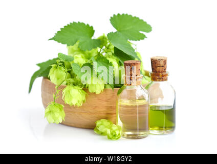 Hopfen (Humulus) mit Heilpflanzen in Glasflaschen auf weißem Hintergrund extrahieren Stockfoto