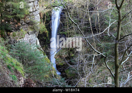 Auswurfkrümmer Kraft Wasserfall, Whinlatter Wald, Nationalpark Lake District, Cumbria County, England, Großbritannien Stockfoto