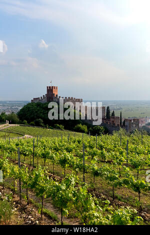 Die mittelalterliche Burg und der Soave Wein Weinberge. Soave, Provinz Verona, Venetien, Italien, Europa. Stockfoto