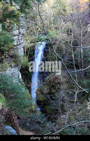 Auswurfkrümmer Kraft Wasserfall, Whinlatter Wald, Nationalpark Lake District, Cumbria County, England, Großbritannien Stockfoto