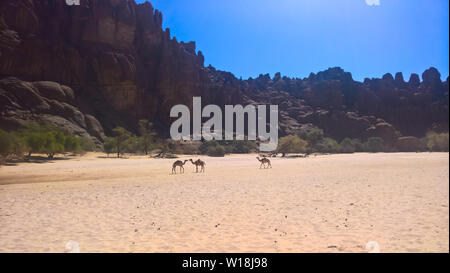 Panorama im Inneren Canyon aka Guelta d'Archei, Osten Ennedi, Tschad Stockfoto
