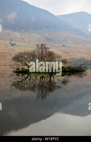 Nebel Blick über Crummock Water, Nationalpark Lake District, Cumbria, England, Großbritannien Stockfoto