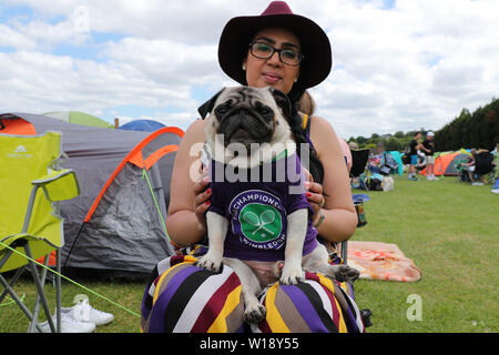 London, Großbritannien. 01. Juli, 2019. PUG IN WIMBLEDON T-SHIRT IN DER WARTESCHLANGE WIMBLEDON SONNTAG WARTESCHLANGE die Wimbledon Championships 2019 DIE ALL ENGLAND TENNIS CLUB, Wimbledon, LONDON, ENGLAND, 30. Juni 2019 DIF20254 der All England Tennis Club, Wimbledon, LONDON, ENGLAND 2019 Credit: Allstar Bildarchiv/Alamy leben Nachrichten Stockfoto