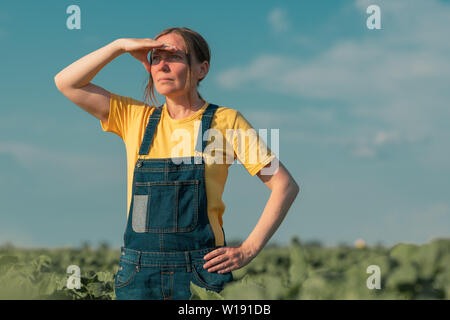 Sonnenblume Landwirt in Feld posieren. Weibliche Agrarwissenschaftler steht in jungen Helianthus annuus Plantage. Stockfoto