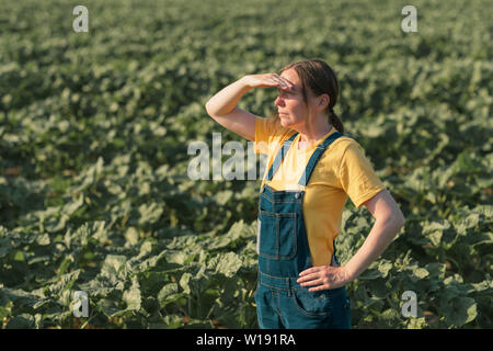 Sonnenblume Landwirt in Feld posieren. Weibliche Agrarwissenschaftler steht in jungen Helianthus annuus Plantage. Stockfoto