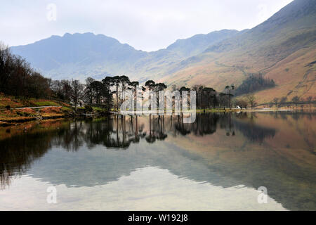 Nebel Blick über Buttermere, Nationalpark Lake District, Cumbria, England, Großbritannien Stockfoto