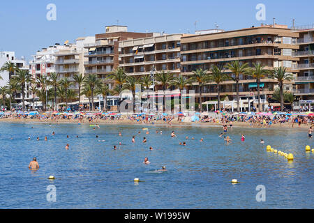 Torrevieja, Spanien - 10. Juni 2019: Waterside view viele Touristen genießen Sie warmen Wetter Sommer Tag am Strand Playa Del Cura Strand, Schwimmen im Meer, Sonnenbaden Stockfoto