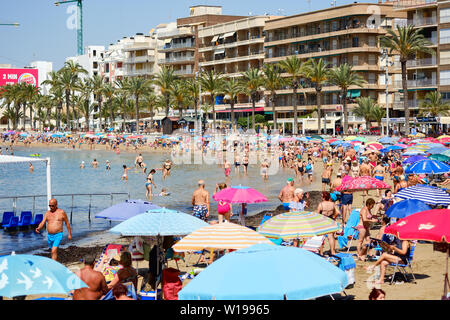 Torrevieja, Spanien - 10. Juni 2019: Masse von Touristen Menschen Zeit an der Playa Del Cura Sandstrand in Torrevieja Resort Stadt verbringen, hohes Gebäude. Stockfoto