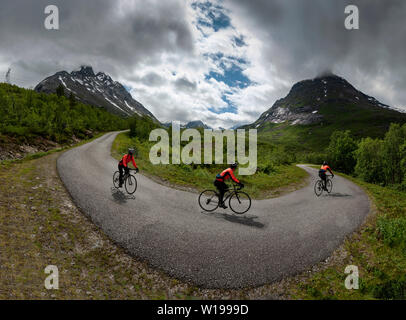 Weibliche Radfahrer auf private Mautstraße durch Vengedalen, in der Nähe von Molde, Norwegen. Stockfoto