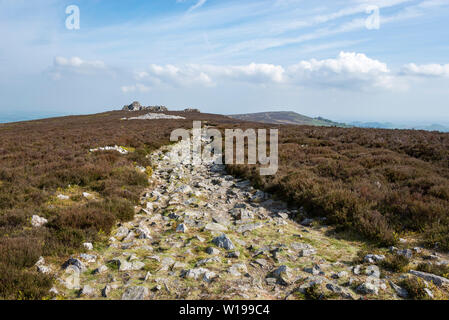 Die stiperstones, Shropshire, England. Pfad zu den Teufeln Stuhl ein Quarzit Bergspitze auf dem Grat. Stockfoto