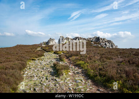 Die stiperstones, Shropshire, England. Pfad zu den Teufeln Stuhl ein Quarzit Bergspitze auf dem Grat. Stockfoto