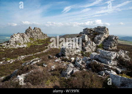 Die stiperstones, Shropshire, England. Blick auf die Devils chair Quarzit Bergspitze auf dem Grat. Stockfoto