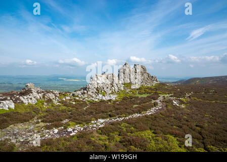 Die stiperstones, Shropshire, England. Blick auf die Devils chair Quarzit Bergspitze auf dem Grat. Stockfoto