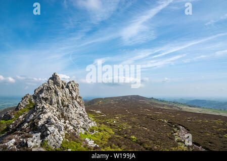 Die stiperstones, Shropshire, England. Blick auf die Devils chair Quarzit Bergspitze auf dem Grat. Stockfoto