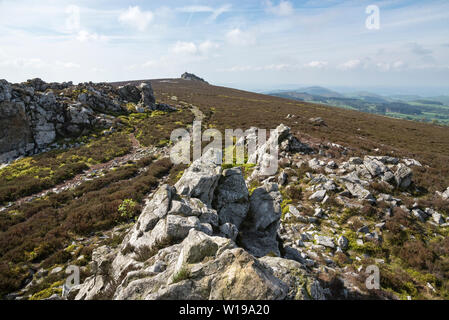 Die stiperstones, Shropshire, England. Blick von der Devils chair Quarzit Bergspitze auf dem Grat. Stockfoto