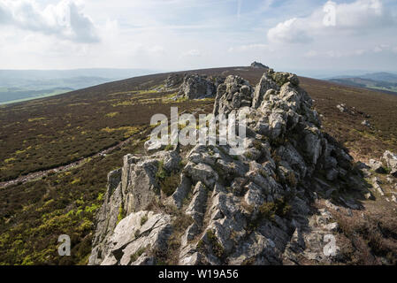 Die stiperstones, Shropshire, England. Blick von der Devils chair Quarzit Bergspitze auf dem Grat. Stockfoto