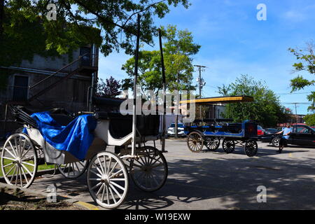 Pferd und Wagen arbeitet für touristische Touren, Lüfter zu kühlen Pferde, viel Wasser, Persönliche Baden der Pferde, Stallungen, offene Türen, Besucher willkommen Stockfoto