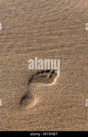 Eine einzige menschliche Fußabdruck im Sand auf den Fistral Beach in Newquay in Cornwall. Stockfoto