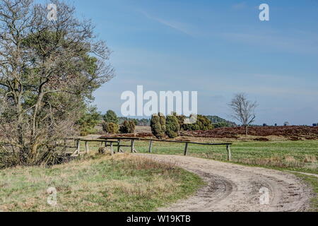 Im Naturschutzgebiet Lüneburger Heide liegt die sanft geschwungene Radenbach Tal, das als eines der unberührtesten Heide Täler. Stockfoto