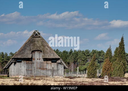 Die typischen reetgedeckten Schafstall im Naturschutzgebiet Lüneburger Heide, die Raum bietet für 350 Schafe. Stockfoto