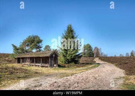 Wieder und wieder auf die Art und Weise, wie sie in der Lüneburger Heide sehen können so genannte Biene Zäune. Stockfoto