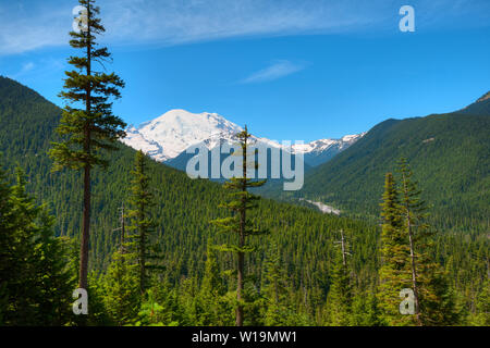 White River Valley am Mount Rainier National Park, Washington State, USA Stockfoto