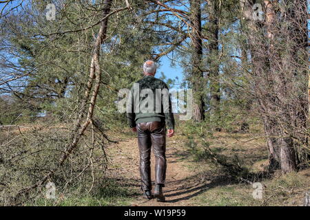 Der Himmel ist blau und wolkenlos, ein einsamer Wanderer Spaziergänge entlang dem schmalen Pfad durch den Wald. Wandern in der Lüneburger Heide ist ein tolles Erlebnis. Stockfoto