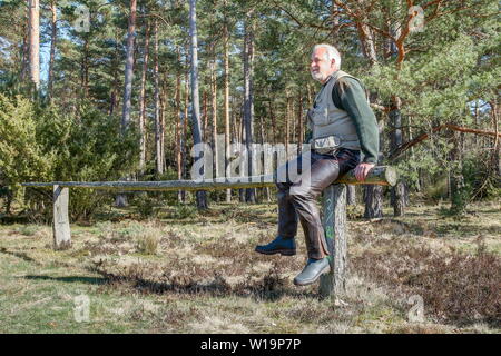 In der Sonne, ein Wanderer sitzt auf einem hölzernen Barriere an den Pinienwald und genießt den schönen Frühlingstag und die wunderbare Stille in der Natur. Stockfoto